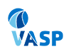 VASP Logo RGB 3Cores 800 72 100 76